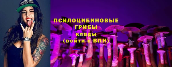 ALPHA PVP Магас