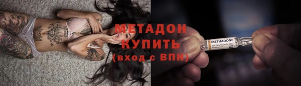 прущие грибы Магадан