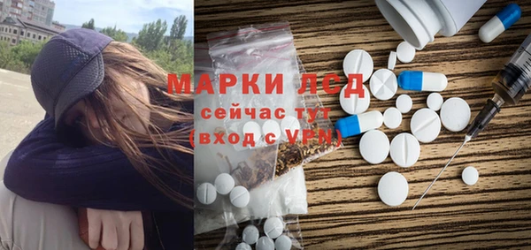 прущие грибы Михайловка