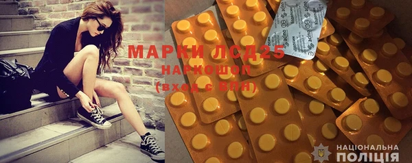 прущие грибы Магадан