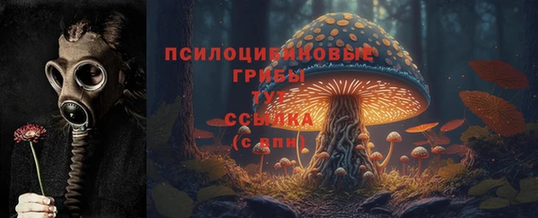 стафф Михайлов