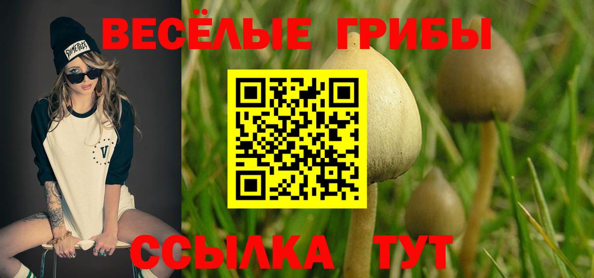 купить  цена  Псилоцибиновые грибы Psilocybine cubensis  Вход с VPN  Канск 